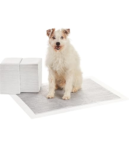Dono Puppy Pads, Hond Training Pads, 50 stuks, Houtskool Hond Pad voor