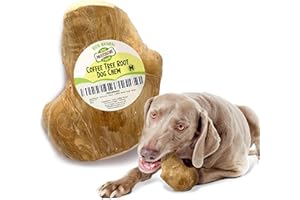 Woodbone Coffee Tree Root Dog Chew for Medium Dogs - Natural Wood Dental Chewing Toy - Size M