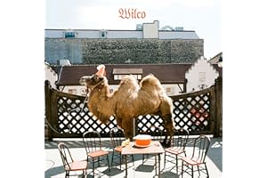 Wilco (The Album)