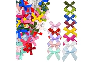 EOZIGHI AGLLUX 100 mini lazos de cinta de raso de 2,5 cm, multicolor, mini nudo doble cara, pequeño lazo decorativo para Navidad, decoración de bodas, trabajos manuales, costura, decoración de regalos