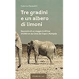 Tre gradini e un albero di limoni. Racconto di un viaggio in Africa: 19.000 km da Città del Capo a Kampala