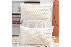 Madizz Pack of 2 Super Soft Velvet Decorative Cushion Covers with Texture Luxury Style Throw Pillow Cases Pillow Shell for Sofa Bedroom White 12x20 inch Rectangular