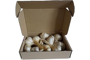 SOC. AGR. I POGGI S.S. Aglione della Val di Chiana 2kg Italia