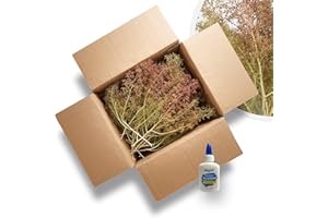 ‎MODELLBAUWERK Modellbauwerk® Seemoos/Meerschaum: Beutelgröße 300x200mm, Ideal für Modellbauwälder! fürArchitekturmodellbau, Bäume, Büsche, Landschaft & Dioramen (Karton 217x170x110cm, Natur/grün/rötlich)