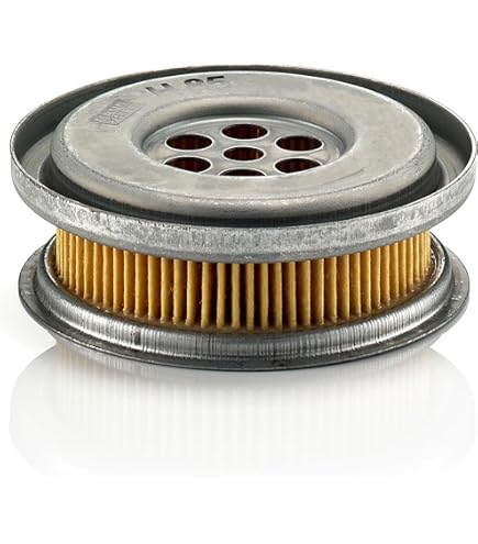MANN-FILTER C 25 118 Filtro dell'aria - per Autovetture + veicoli commeriali