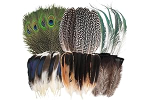 MWOOT 48 Piezas Plumas Naturales, 6 Estilos Plumas de Pavo Real Plumas de Cola de Faisán Plumas de Pavo y Pato para DIY Manualidades, Plumas Decorativas para Mascarada de Carnaval Boda Fiesta
