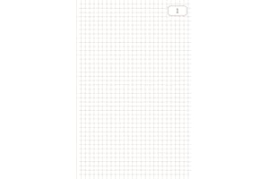 Le Dauphin - Réf. 1113D - Lot de 5 manifolds - papier autocopiant - quadrillés 5x5 - petits carreaux - triplicata - 50 feuilles - format 21 x 14,8 cm - couverture vernie