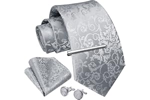 Enlision Cravatta Uomo 9CM Cravatta Paisley Cravatta Fazzoletto Set Cravatte e Fermacravatta