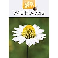 【中古】 Britain’s Wild Flowers: A Treasury of Traditions, Superstitions, Remedies and Literature/NATL TRUST/Rosamond Richardson Amazon.com: Britain's Wild Flowers: A Treasury of Traditions