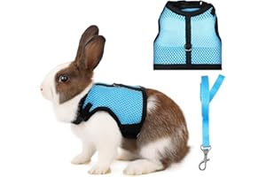 AIYORSE Bunny Harness and Leash Set, Adjustable Breathable Mesh Rabbit Vest with Double Buckles, Escape Proof Walking Training for Kittens, Rabbits, Ferrets, Guinea Pigs, Small Pets, Light Blue, Size M