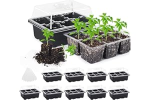 MIXC 60 große Zellen, Mini-Anzuchtkasten mit Luftfeuchtigkeit, belüfteten Kuppeln und Boden für Samen, Start-Gewächshaus (6 Zellen pro Tablett, 10-teiliges Set), schwarz