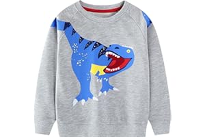 Baogaier Sudadera Niño Algodon Dinosaurio Pullover Camiseta Deporte Sin-Capucha Sweatshirt con Manga Larga Basica Cuello-Redondo Casual Top Jersey para Unisex Infantil Ninos 2-7 Años