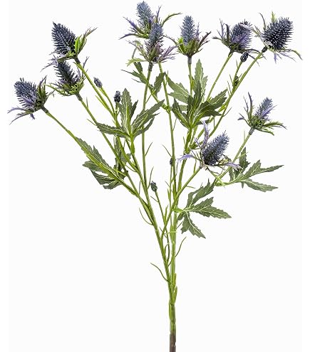 pflanztöpfe hamburg Blumentopf / Pflanzgefäß „Coin“ – Glasierter Steinguttopf Blau 37x34 c main image 1