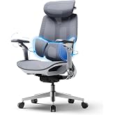 Hbada E3 Pro 2026 Edition Ergonomic Office Chair, Lumbar Support 3-Zones, 4D Headrest and Adjustable 4D Arms, Mesh Desk Chair