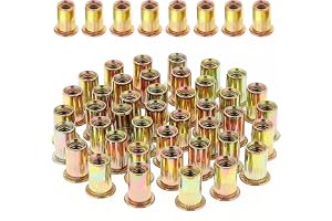 Gueenky 100 st nitmutter M10 gängad med platt huvud, nitmutter i förzinkat kolstål, sortiment M10 nitinsats för plastmetall (17 mm x 21 mm)
