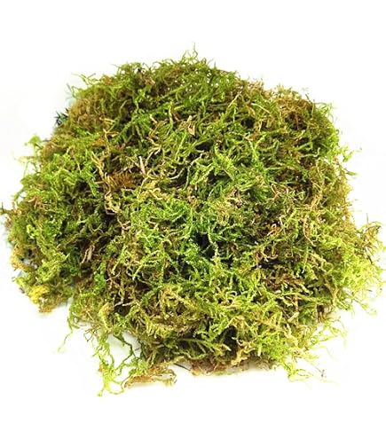 Musgo Artificial Para Decoración - 200 G (verde Oscuro Y Claro), Perfecto Para Manualidades Y Macetas