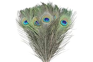 ESOES 20 piezas de plumas de pavo real reales y naturales (10 "-12") con ojo para manualidades