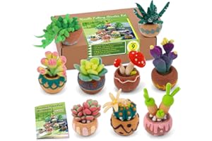 Wamkon Nadelfilz Set, 9-Teiliges Filzset für Anfänger Mit Sukkulenten, Filzset Inklusive Filz Wolle, Nadelfilzmatte, Filznadeln und Anleitung für DIY Nadelfilzen Set Anfänger