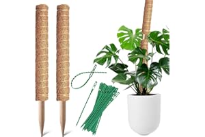 BECHOICEN 2Pcs Coir Totem Pole Plant Support, Moss Pole for House Plants, Cheese Plant with 20 Pieces Garden Cable Ties, 12inch