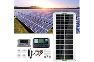 BTSAE Polykristalline Solarmodule Solarpanel 220W 12V/24V Wechselrichter Solarmodul mit Laderegler, Solarmodul Solarzelle für Wohnmobil Camping Gartenhaus Caravan