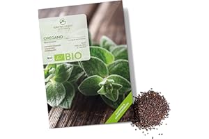 GROWGREENS Semi di origano biologiche - Semi di erbe aromatiche da coltivare in cucina, sul balcone, sul orto rialzato e in giardino