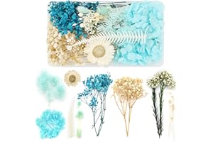 Vidillo decor Everlasting Flowers 1 Box Real Dried Pressed Flowers Dried Flowers Leaves Set Mixed Multiple Natural for DIY Candle Resin Jewellery Crafts Nail Art Scrapbook Starry Sky (Blue)