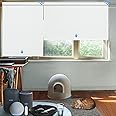MANSNIX Motorized Blinds with Valance Remote Control Upgraded Smart Blackout Roller Shades Electric Automatic Window Blinds for Windows Blinds & Shade.(White,46" Wx72 H)