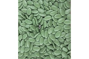 CHOCODIC Dragées chocolat 71% de cacao vert eucalyptus 1kg - pas cher de qualité - environ 280 dragées - Fabrication artisanale en France