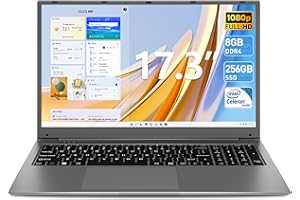 SGIN 17.3 Inch Laptop 8GB RAM 256GB SSD Storage, Celeron Processor(Up to 2.6GHz), 8000mAh，PC Notebook with 2xUSB 3.2, Dual Band WiFi, Bluetooth 5.0， Expandable Storage 512GB (Black)