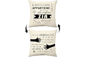 Aconesong Questo Cuscino Appartiene alla Migliore Zia del Mondo Divertenti Copricuscini Regalo di Festa della mamma Regali di Compleanno Natale da Nipote (Zia)