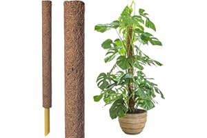 GARDENERSDREAM 45cm Coir Moss Pole for Climbing Plants – Extendable Plant Support Stake for Monstera, Pothos & Indoor Houseplants – Natural Coco Coir Totem Pole for Stronger Growth (1 x 45cm Mosspole)