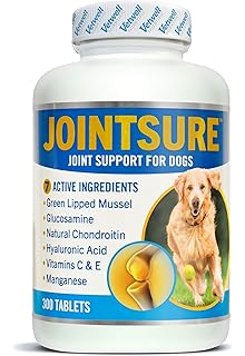 12 week old puppy peeing in house