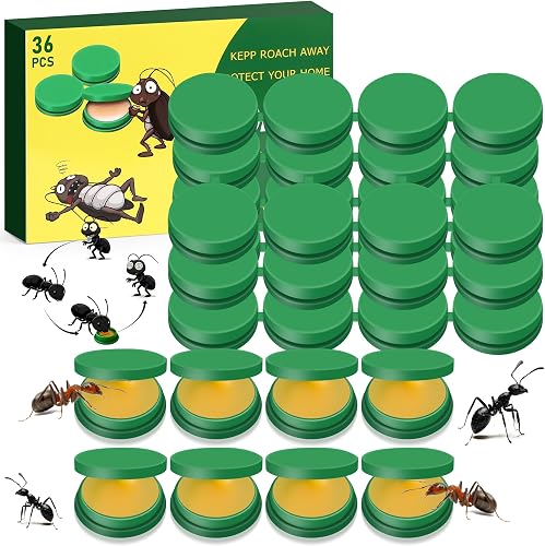 Yineaae 36 pieces ant bait stations for indoor and outdoor use, ant angel bait with effective immediate effect, safe for children and pets