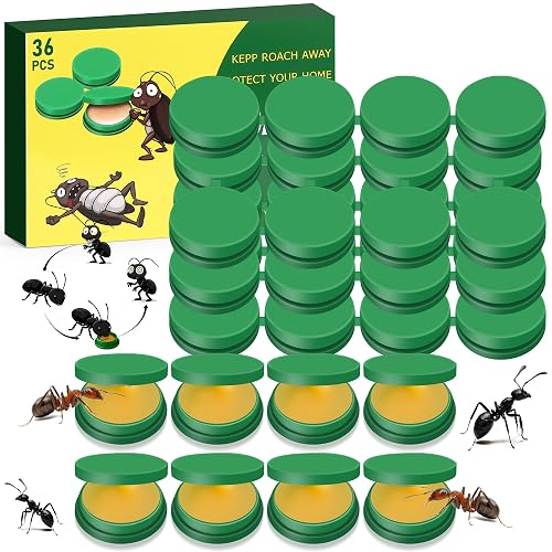 Yineaae 36 pieces ant bait stations for indoor and outdoor use, ant angel bait with effective immediate effect, safe for children and pets