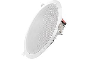 GERMANY FOXAVFOX Fox FXCS-M8512FR - Altavoz de techo (5/10/20 W, 100 V, metal), color blanco