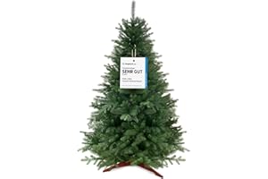 ‎PURE LIVING INTERIOR DESIGN Weihnachtsbaum künstlich 180cm 100% PE Spritzguss - TESTSIEGER - Naturgetreu, dichte Zweige, Künstlicher Weihnachtsbaum mit Holzständer und Aufbewahrungstasche – Tannenbaum künstlich von Pure Living