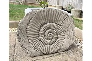 BURGESS HOME & GARDEN Statua in pietra fossile di ammonite | Dinosauro esterno giardino ornamento UK decorazione