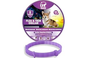 PAWSGUARD Dog Repellent Treatment, Single Pack Repellent Collar, Adjustable for Small Medium Large Dogs, Natural Waterproof Design (Single Pack Purple)