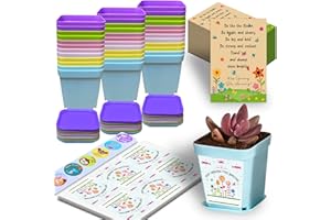 PopManko Regalos para estudiantes de profesores, paquete de 36 regalos de clase para 30 niños en edad escolar, regalos para estudiantes de 6º año, regalos de fin de año, macetas de fin de curso, sobre