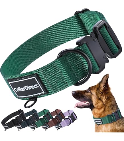 Fida Hundehalsband – Gepolstertes Neopren, Reflektierend, Verstellbar Für Kleine Bis Große Hunde