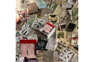 RUNMEIHE 366 pezzi Adesivi Scrapbooking Vintage, Materiale per Scrapbooking Carta Pergamena Estetica Decorativa, Artigianato Artistico per la Fabbricazione di Carte Forniture per Diario fai da te