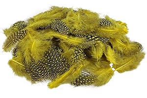 Netuno 150 Piezas de Plumas Decorativas con Puntos Color Amarillo 6g Plumas de gallina de Guinea decoración de atrapasueños hogar caligrafia Sombreros Disfraces Manualidades Navidad Pascua Boda