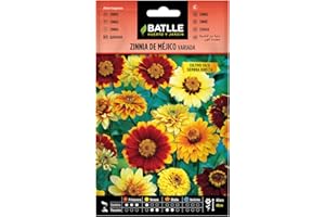 Semillas Batlle Zinnia de MEJICO variada