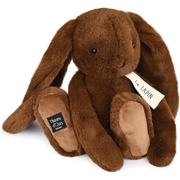 Histoire D'Ours Plüschpudel Roxane – 25 Cm, Rosa Mit Glitzer-Tutu | Kuscheltier Für Mädchen Ab 2 Jahren
