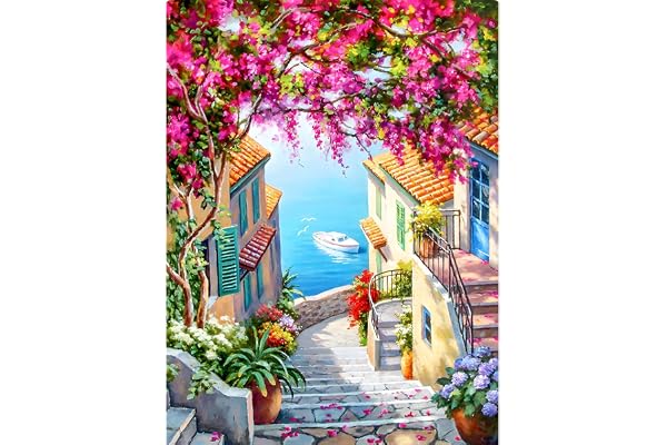 YMJD 11CT Point de Croix kit Debutant Broderie Imprimé Cross Stitch (Piccola Città 40×50cm)