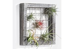 AOAOPQ Air Plant Wood Frame Hanging Airplant Holder, Rustic Wood Grey, Succulent Plants Display Hanger Shelf for Wall Decor Rustic Brown