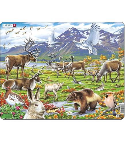 Puzzle Larsen FH42 Ours Polaires Et Morses – 46 Pièces – 36,5×28,5 Cm – Nature & Apprentissage – Dès 3 Ans