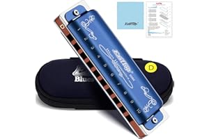 East Top 10 trous 20 tons 008K Clé d'harmonica diatonique de D avec boîtier bleu, harmonicas standard pour adultes, joueurs professionnels et étudiants
