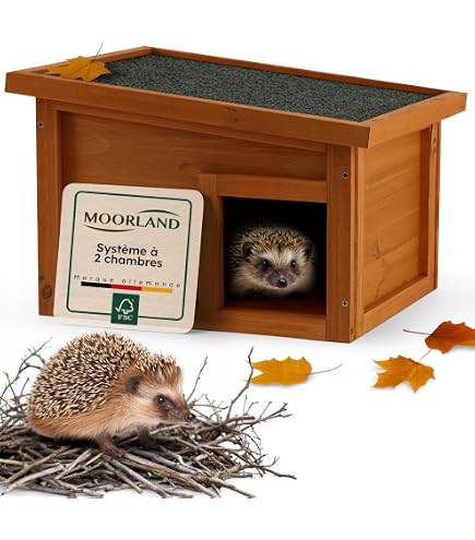 Tool&Tree Maison Pour Hérisson En Bois Robuste 32x26x20,5cm - Abri Avec Entrée Labyrinthe Et Fond Anti-Humidité