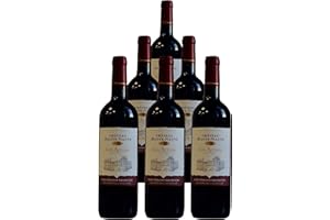 CHÂTEAU HAUTE NAUVE Château Haute-Nauve, Son Altesse, Saint Emilion Grand Cru 2015 - Pack de 6 bouteilles